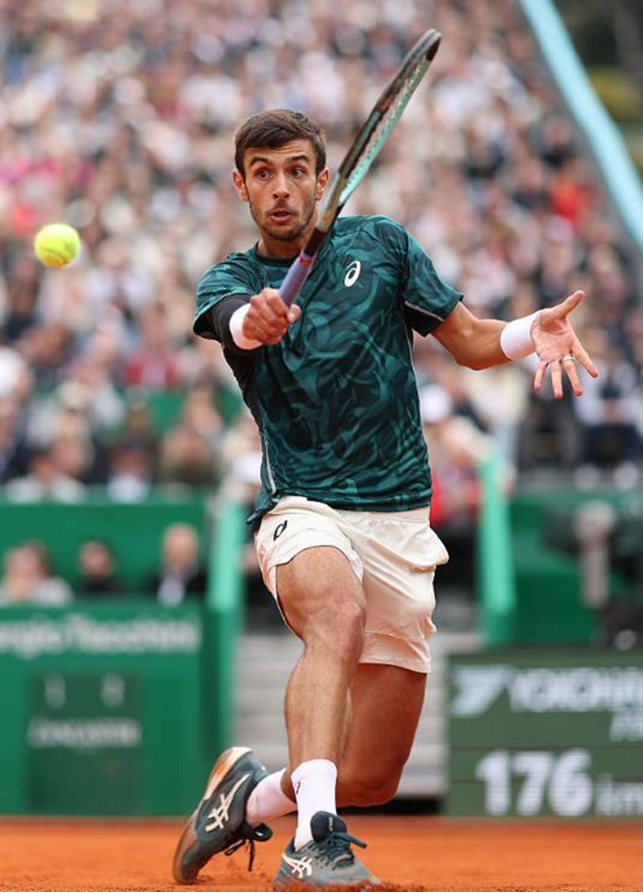 体系中的关 体系中的关