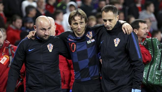 天津女排本 天津女排本