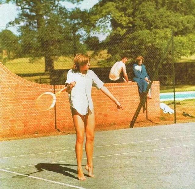 统领全局的 统领全局的